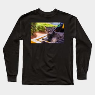 Portrait of tabby cat Long Sleeve T-Shirt